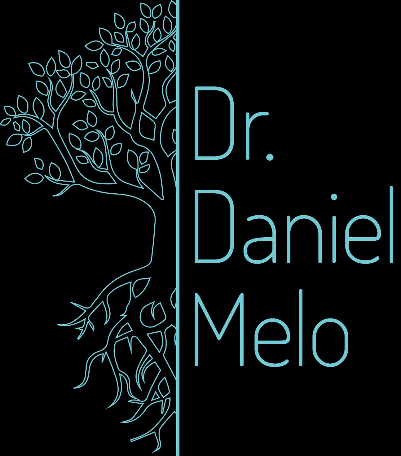 Dr. Daniel Melo